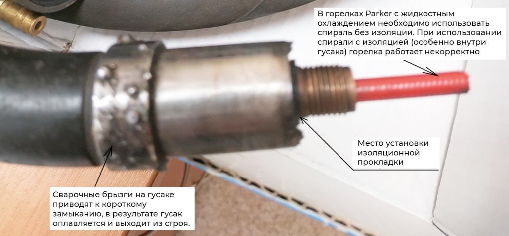 torch 2019.jpg torch 2019.jpg
